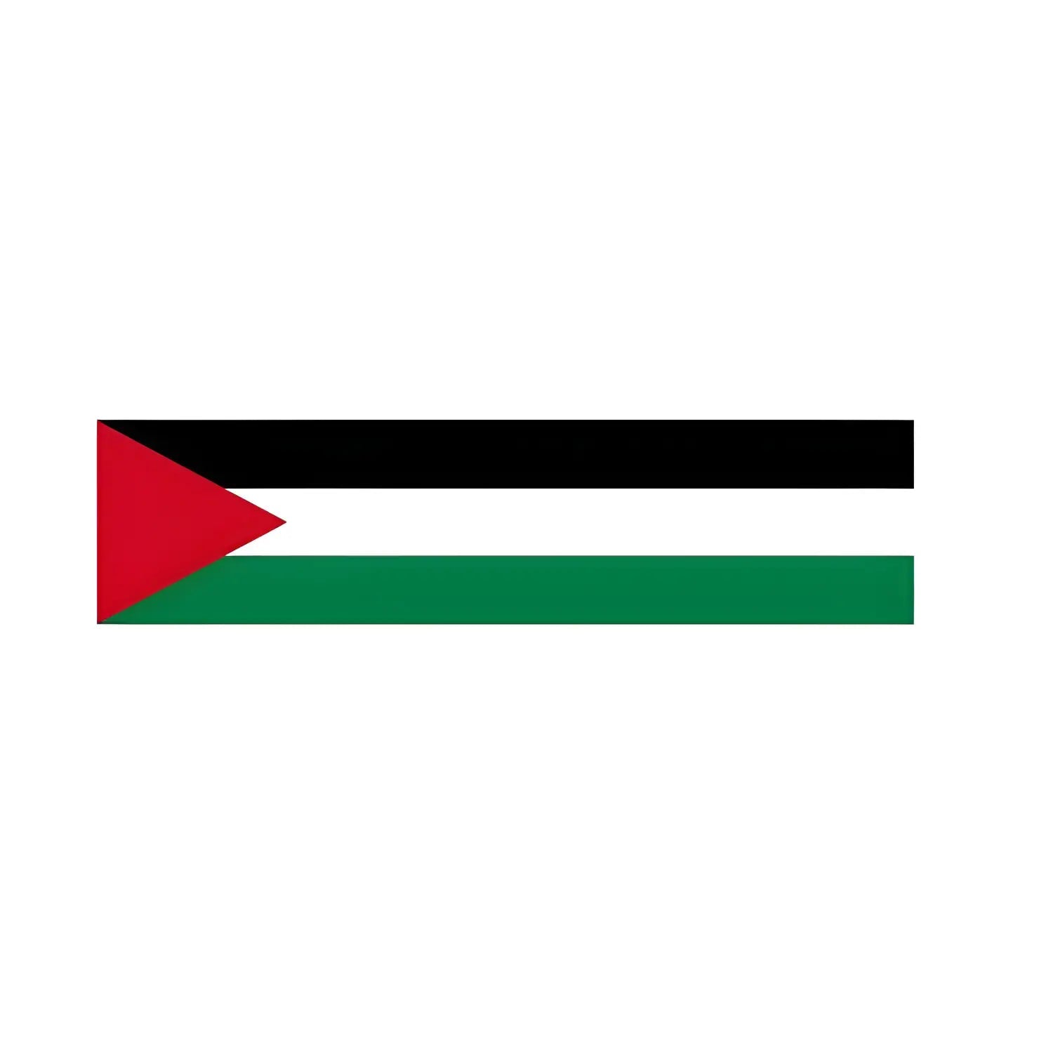Bandera de Palestina – Tamaño XL